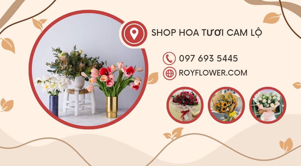 hoa-tuoi-8-3-tai-shop-hoa-tuoi-cam-lo-quang-tri