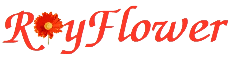 logo-shop-royflower-hoa-tuoi-hoa-su-kien
