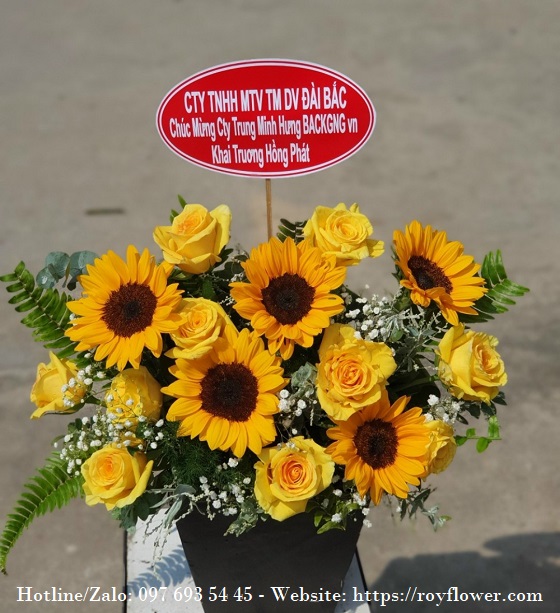 Miễn phí gửi điện hoa giá rẻ tại Quận 6 Sài Gòn - Mẫu hoa RFSG2175 - Grand Opening