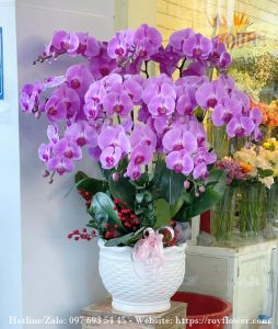 Gửi điện hoa Ngày Quốc Tế Phụ Nữ ở Q. Tân Bình Tphcm - Mẫu hoa RFSG3550 - Nữ Hoàng Kiêu Sa