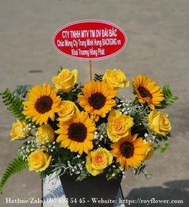 Chuyên ship hoa giá rẻ ở quận Ba Đình - Mẫu hoa RFHN242 - Chúc Mừng Khai Trương Rực Rỡ